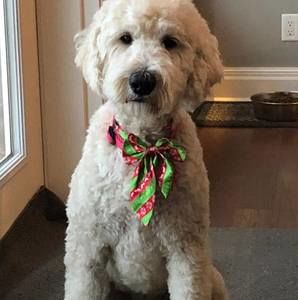 Meet your Posher, Karyn